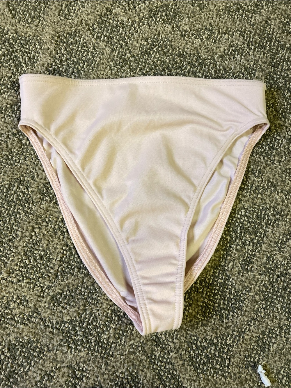 Nancy Ganz body slimmers bikini supportive panties NWOT shiny second skin